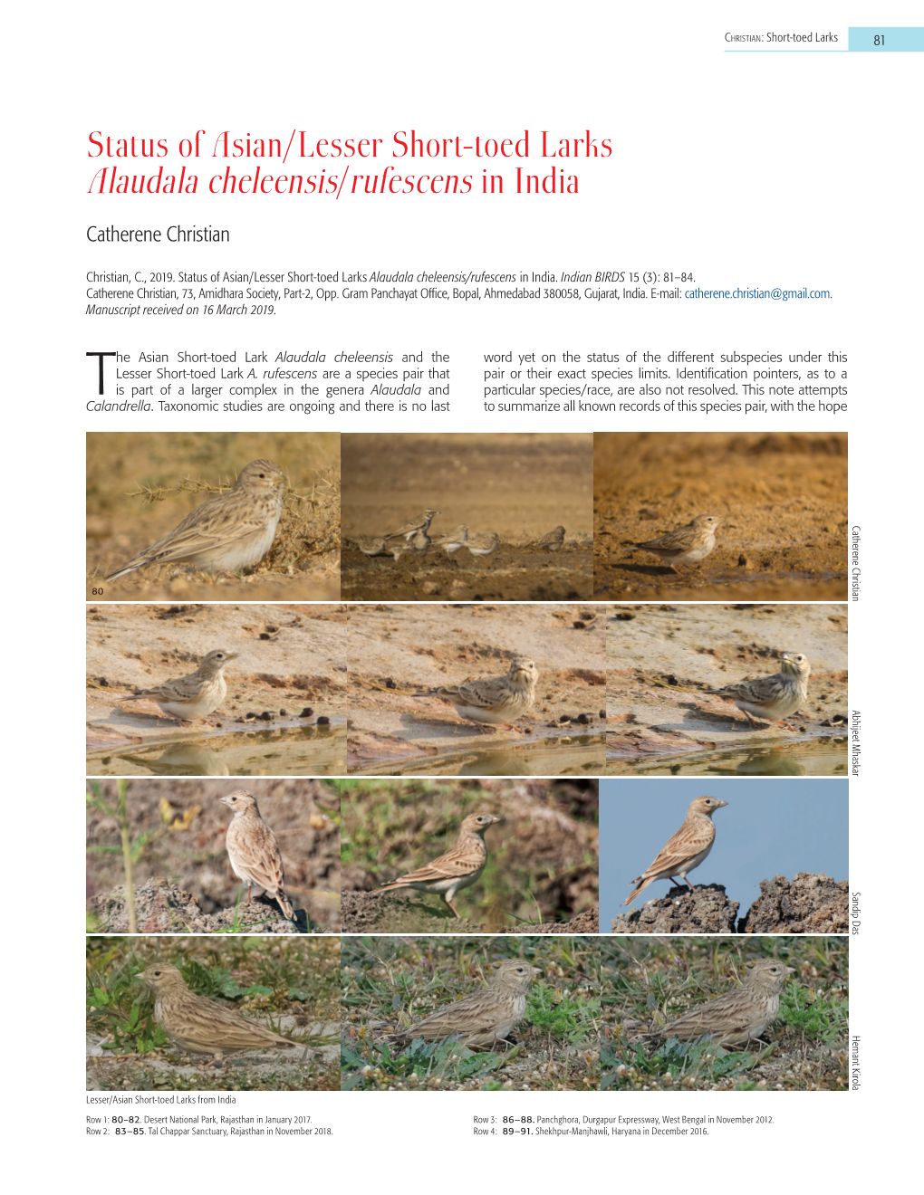 Status of Asian/Lesser Short-Toed Larks Alaudala Cheleensis/Rufescens in India