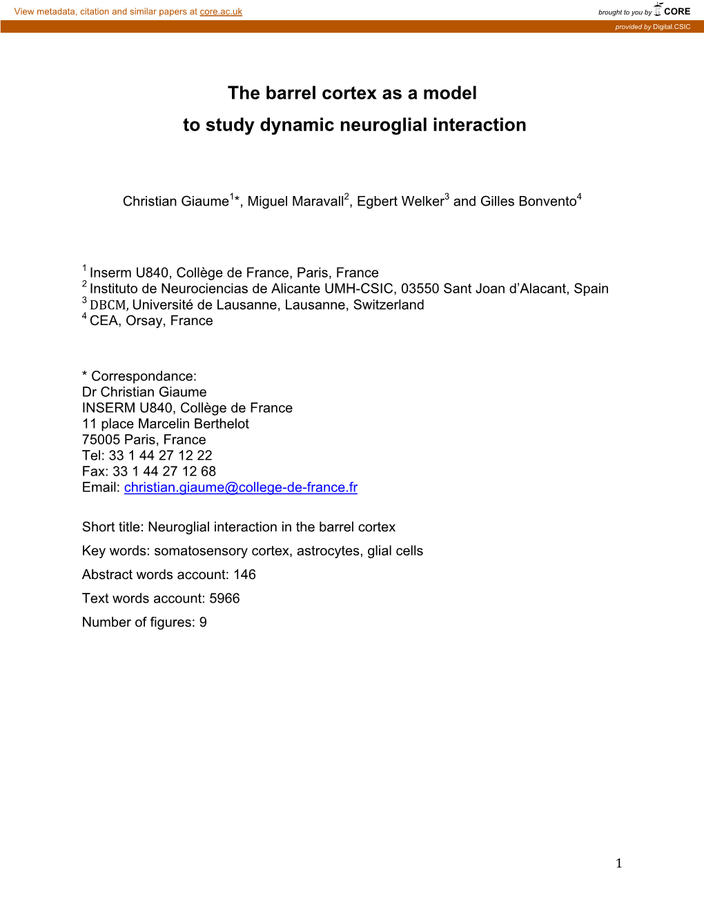 The Barrel Cortex As a Model to Study Dynamic Neuroglial Interaction