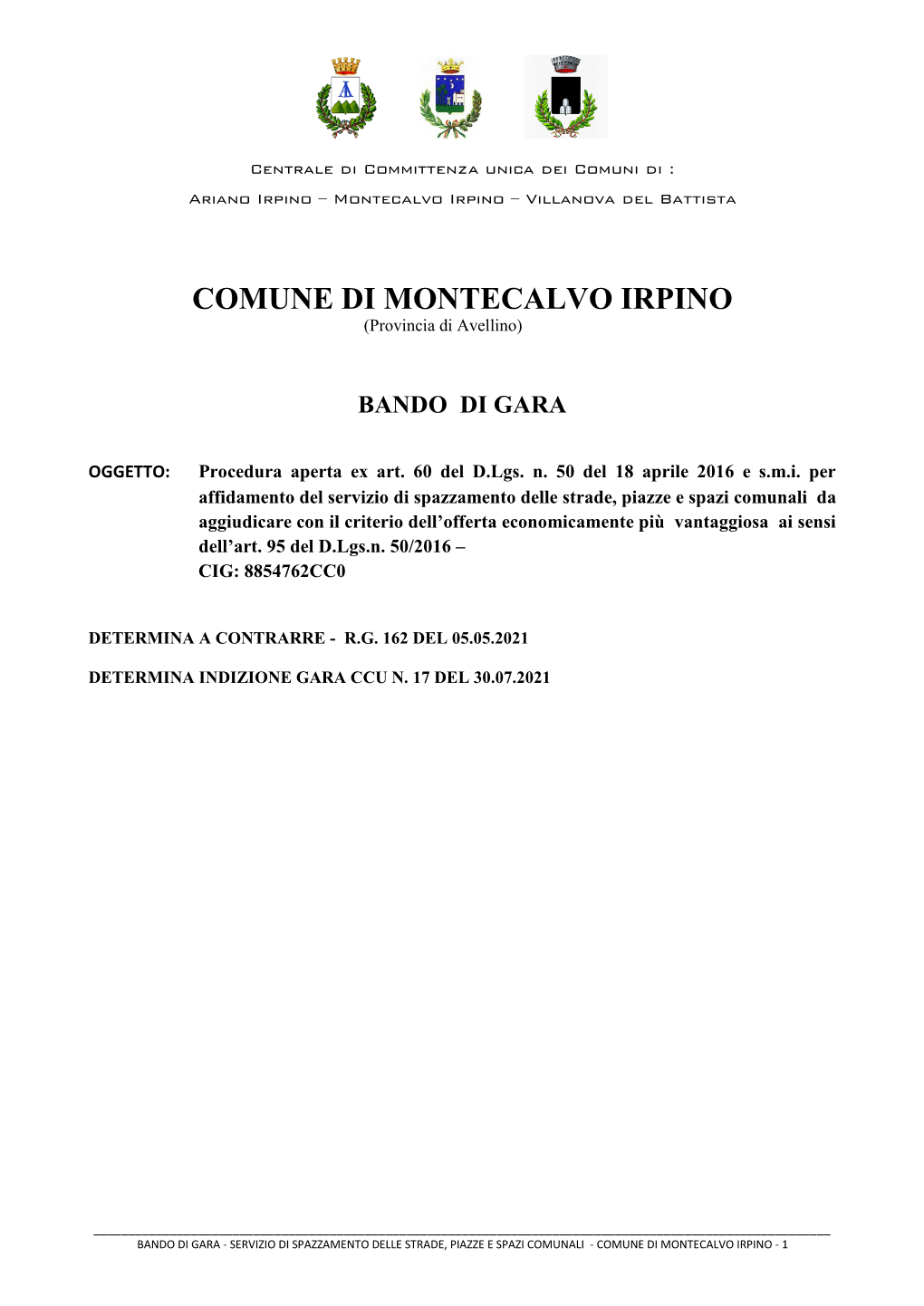 COMUNE DI MONTECALVO IRPINO (Provincia Di Avellino)