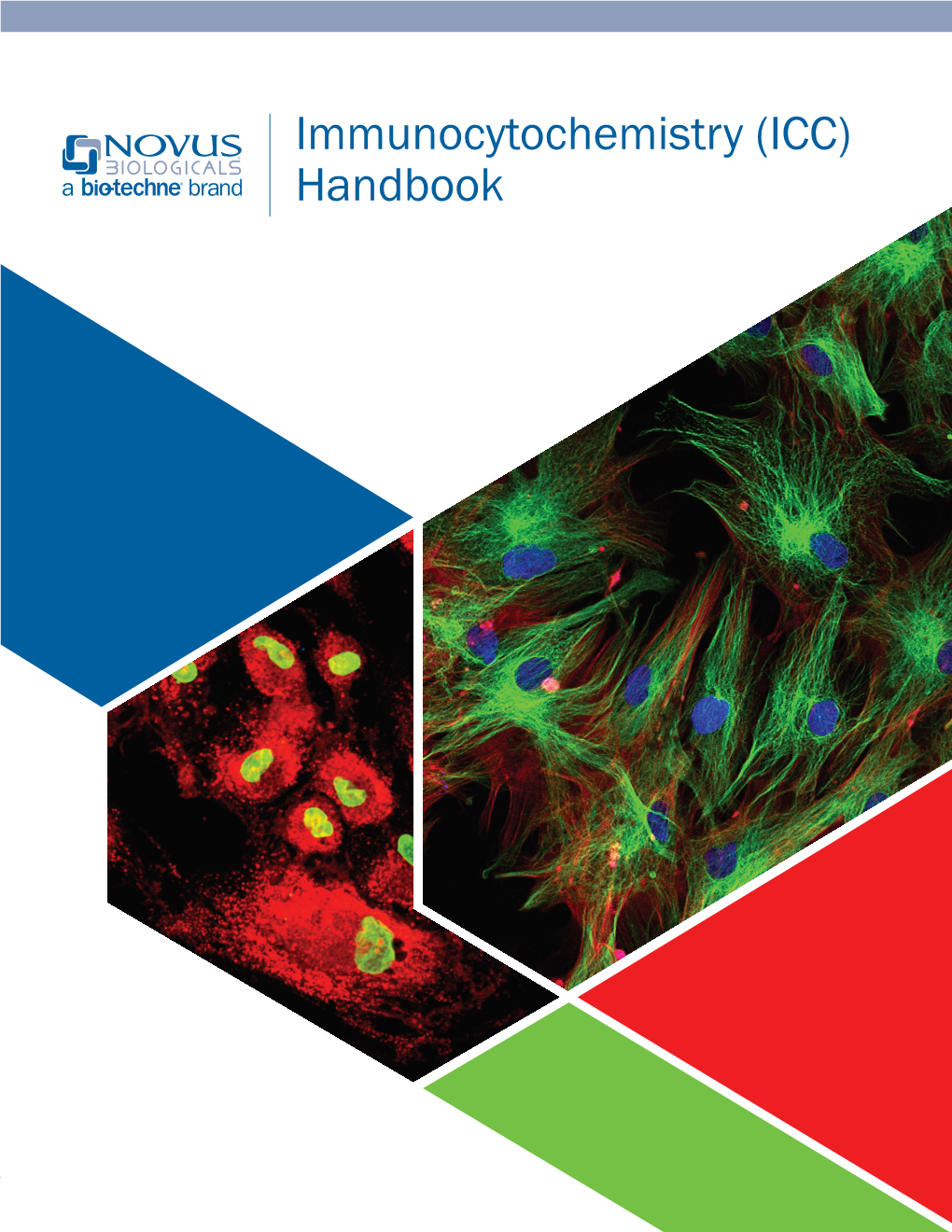 Immunocytochemistry (ICC) Handbook