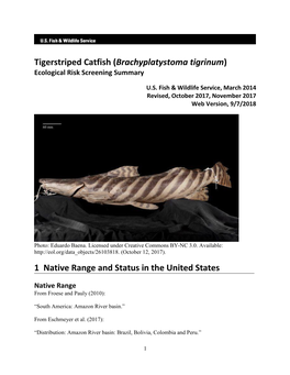 Brachyplatystoma Tigrinum) Ecological Risk Screening Summary