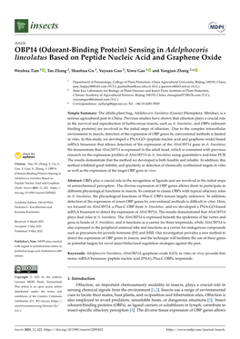 Sensing in Adelphocoris Lineolatus Based on Peptide Nucleic Acid and Graphene Oxide