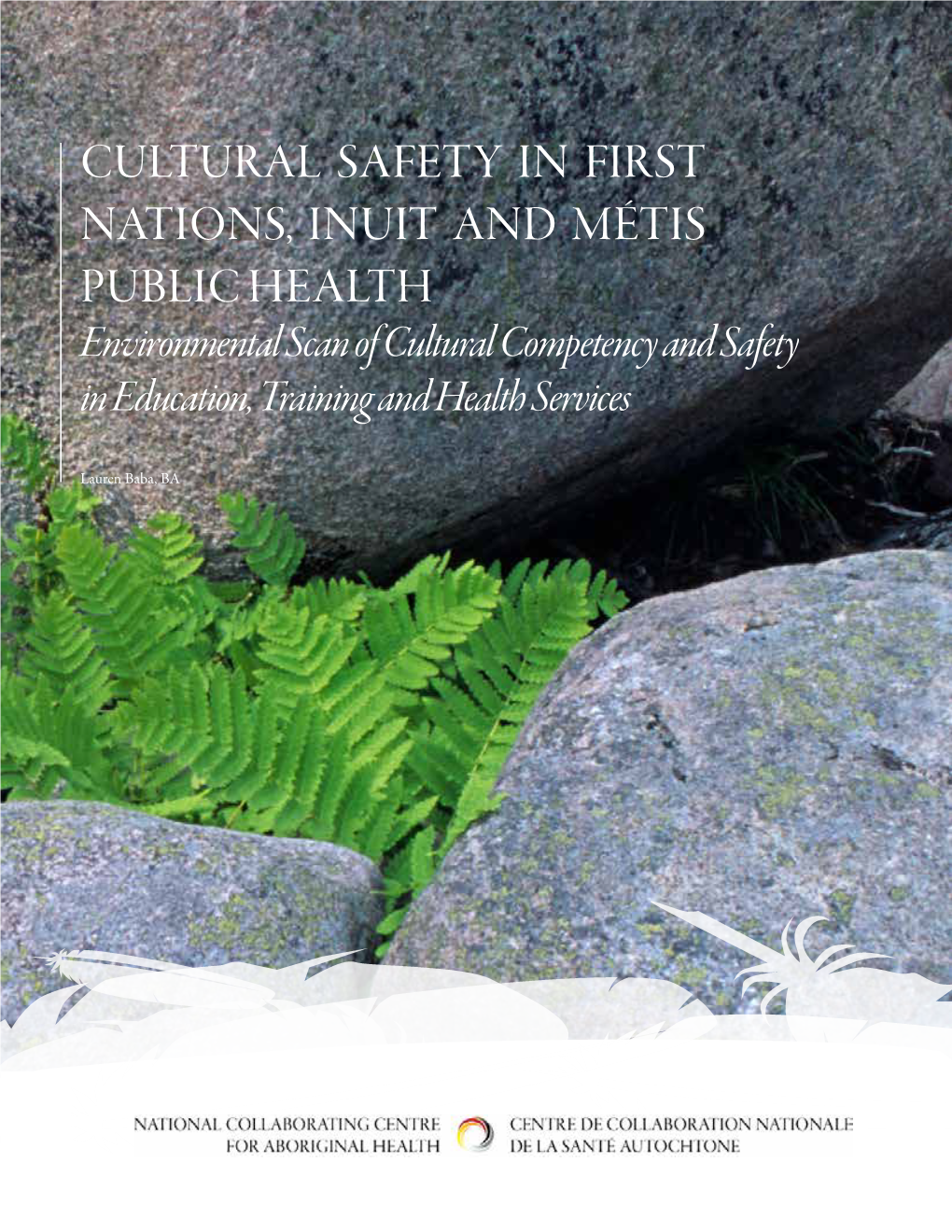 Cultural Safety in First Nations, Inuit and Métis Public Health Environmental Scan of Cultural Competency and Safety in Education, Training and Health Services