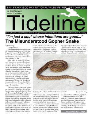 The Misunderstood Gopher Snake