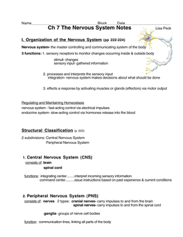 Ch 7 the Nervous System Notes Lisa Peck