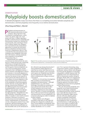 Domestication: Polyploidy Boosts Domestication