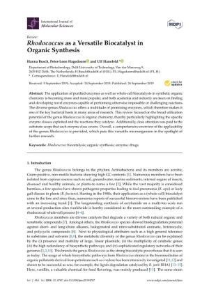 Rhodococcus As a Versatile Biocatalyst in Organic Synthesis