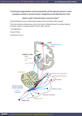 Functional Organisation and Connectivity of the Dorsal Column Nuclei Complex Reveals a Sensorimotor Integration and Distribution Hub