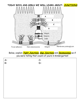 Today Boys and Girls We Will Learn About: Junctions