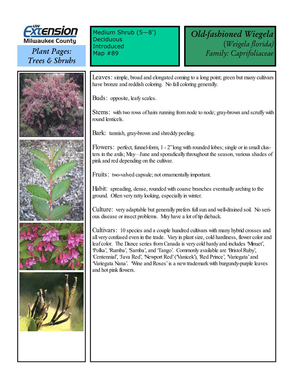Weigela Florida) Plant Pages: Map #89 Family: Caprifoliaceae Trees & Shrubs