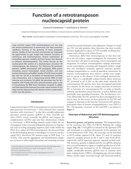 Function of a Retrotransposon Nucleocapsid Protein