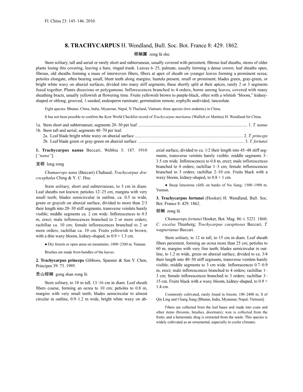 Trachycarpus (PDF)