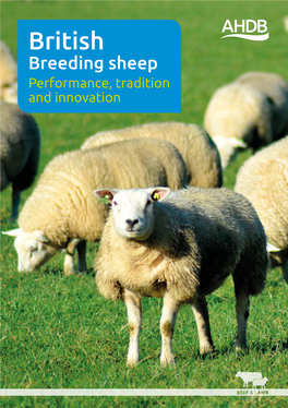 Sheep Leaflet