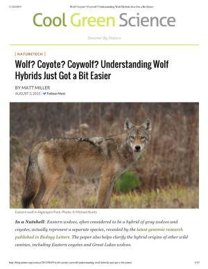 Coyote? Coywolf? Understanding Wolf Hybrids Just Got a Bit Easier