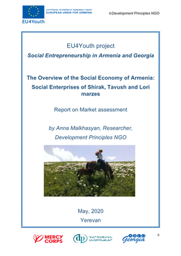 Social Entrepreneurship in Armenia and Georgia