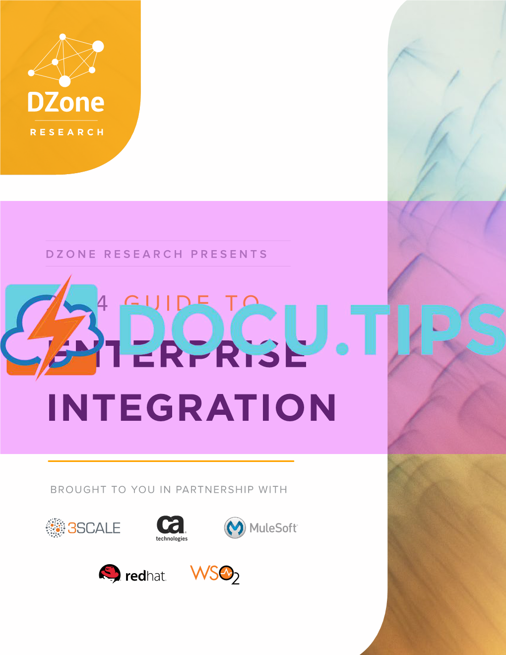 DZR Guide to Enterprise Integration