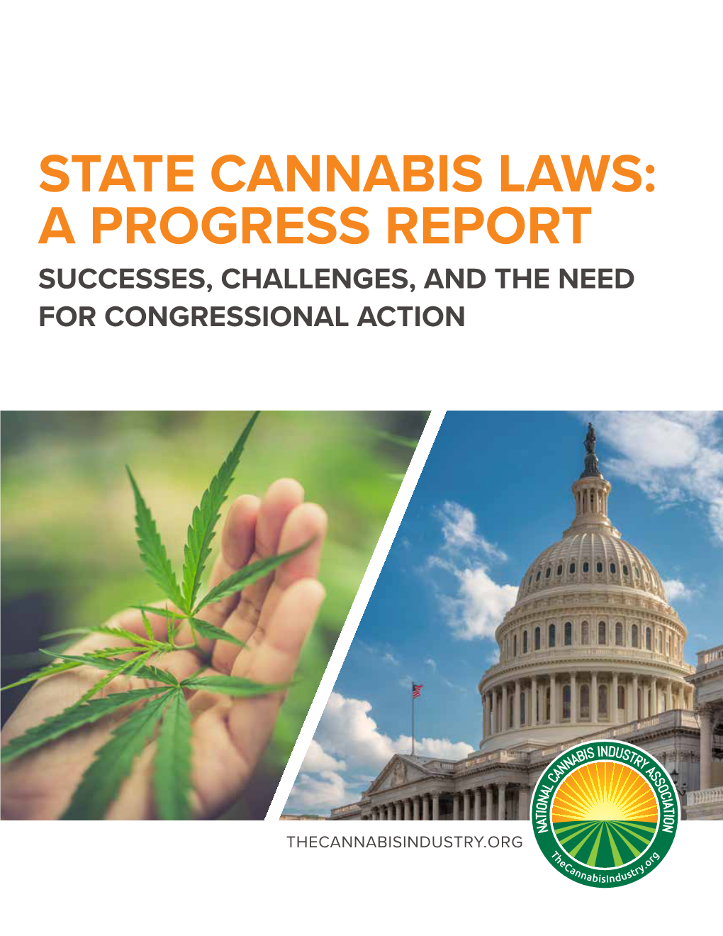 State Cannabis Laws: a Progress Report Successes, Challenges, and the Need for Congressional Action