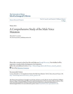 A Comprehensive Study of the Male Voice Mutation Alexander A