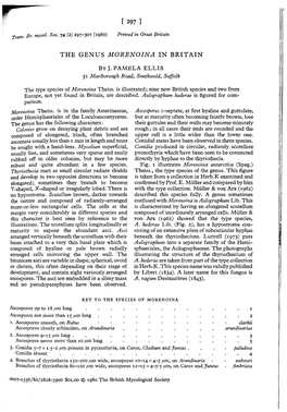 The Genus Morenoina in Britain