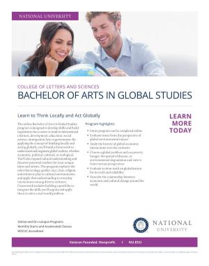 Bachelor of Arts in Global Studies