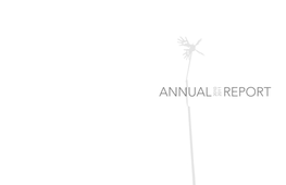 Annualreport2010-2011.Pdf