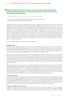 Current Status and Control Recommendations for Laurel Wilt and the Ambrosia Beetle Vectors in Commercial Avocado (Persea Americana L.) Orchards in South Florida