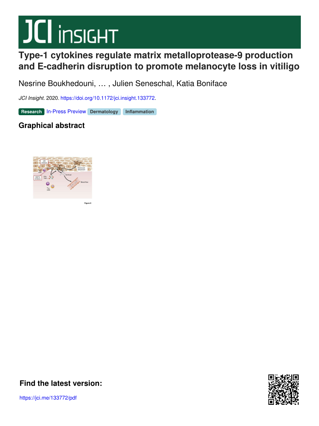 Type-1 Cytokines Regulate Matrix Metalloprotease-9 Production and E-Cadherin Disruption to Promote Melanocyte Loss in Vitiligo