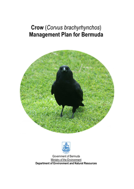Crow Management Plan for Bermuda (PSA Format)