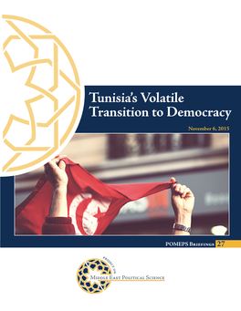 Tunisia's Volatile Transition to Democracy