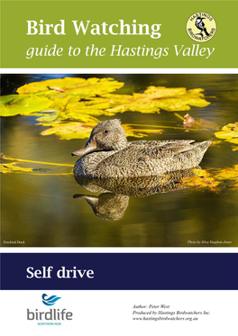 Bird Watching Guide to the Hastings Valley