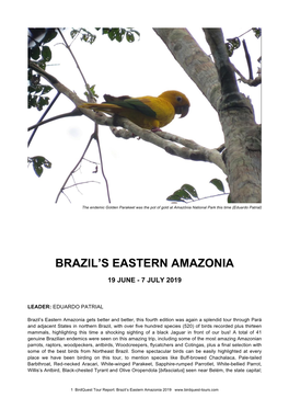 Brazil's Eastern Amazonia