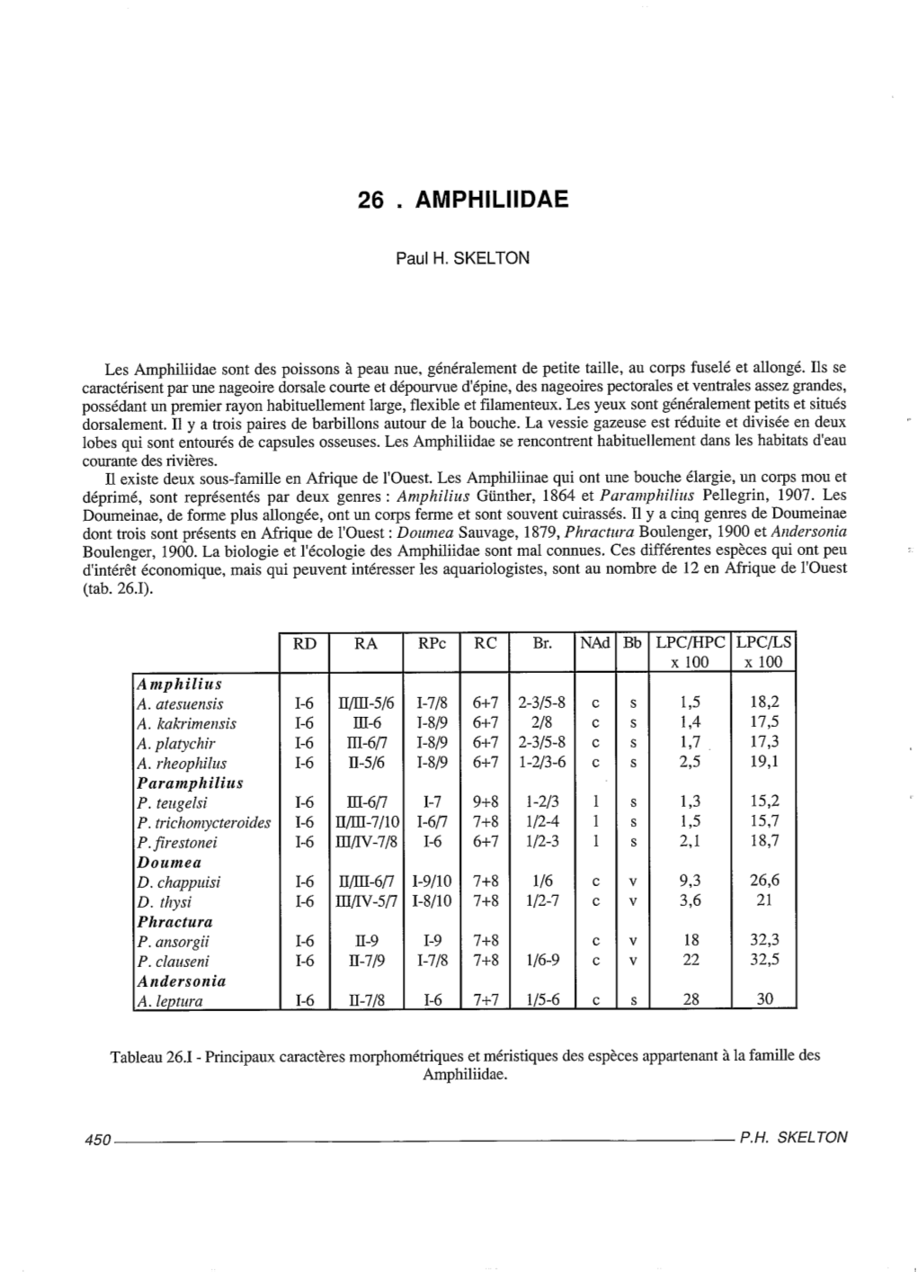 26 . Amphlllldae