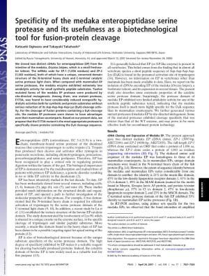 Specificity of the Medaka Enteropeptidase Serine Protease and Its Usefulness As a Biotechnological Tool for Fusion-Protein Cleavage