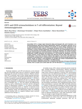 CD73 and CD39 Ectonucleotidases in T Cell Differentiation: Beyond Immunosuppression