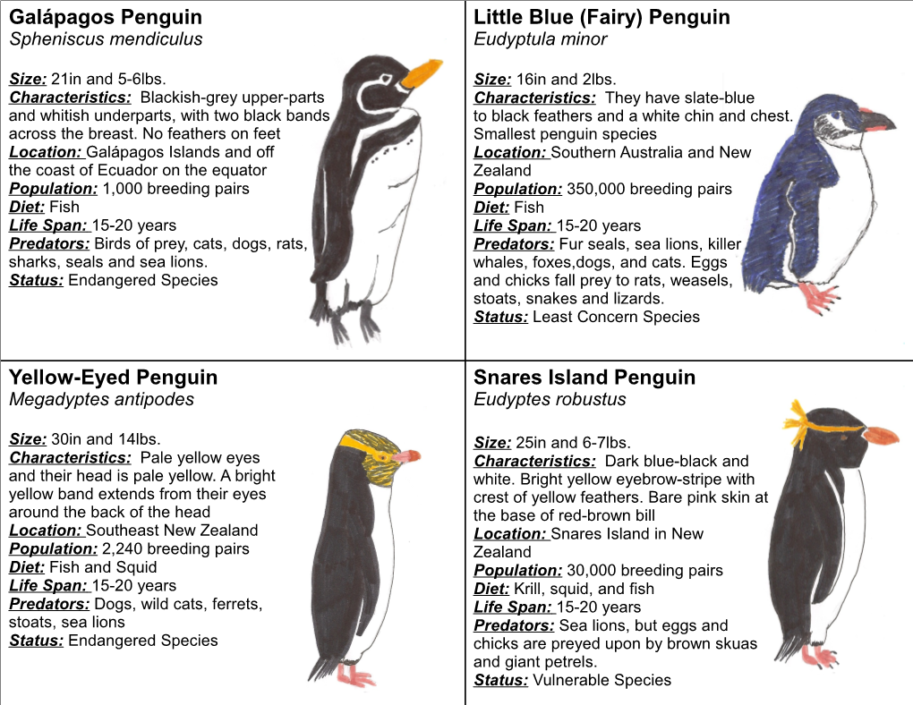 Penguin Cards