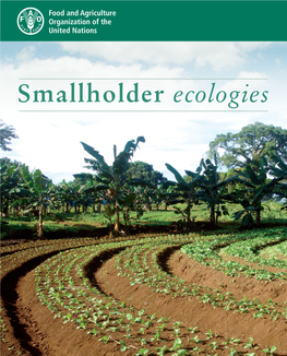 Smallholder Ecologies Smallholder Ecologies