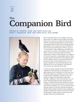 Companion Bird