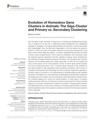Evolution of Homeobox Gene Clusters in Animals: the Giga-Cluster and Primary Vs