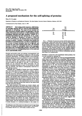 A Proposed Mechanism for the Self-Splicing of Proteins NEIL D