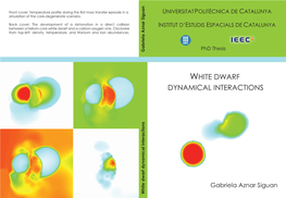 White Dwarf Dynamical Interactions