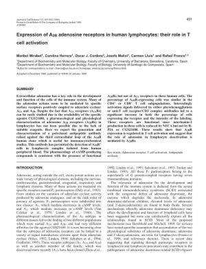 A2B Adenosine Receptors and T Cell Activation 493
