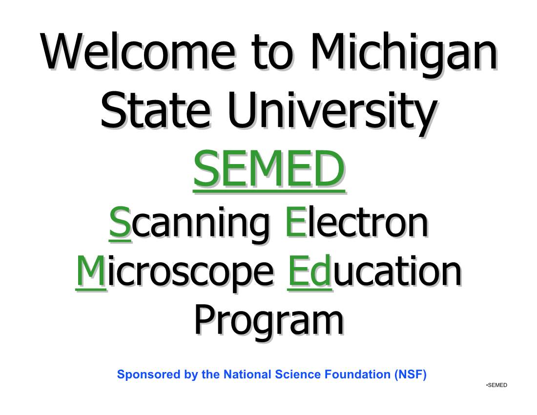 Scanning Electron Microscope Education Program