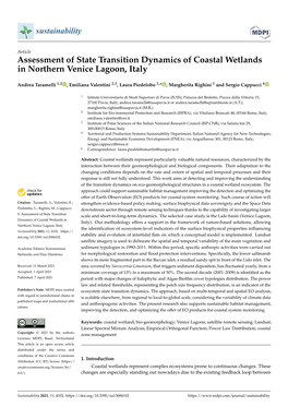 Assessment of State Transition Dynamics of Coastal Wetlands in Northern Venice Lagoon, Italy