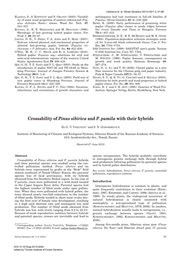 Crossability of Pinus Sibirica and P. Pumila with Their Hybrids