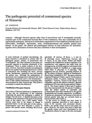 The Pathogenic Potential of Commensal Species of Neisseria