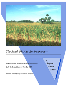 The South Florida Environment—