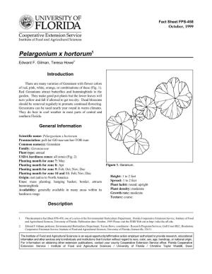 Pelargonium X Hortorum1