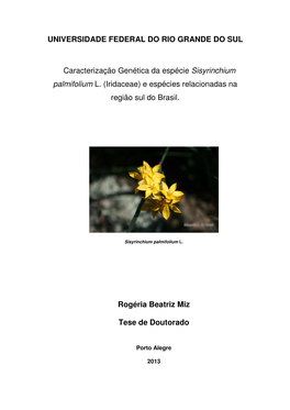 Iridaceae) E Espécies Relacionadas Na Região Sul Do Brasil