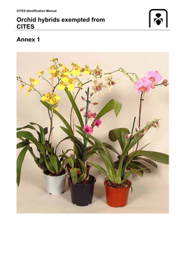 Orchid Hybrids Exempted from CITES Annex 1