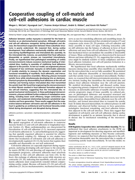 Cooperative Coupling of Cell-Matrix and Cell–Cell Adhesions in Cardiac Muscle